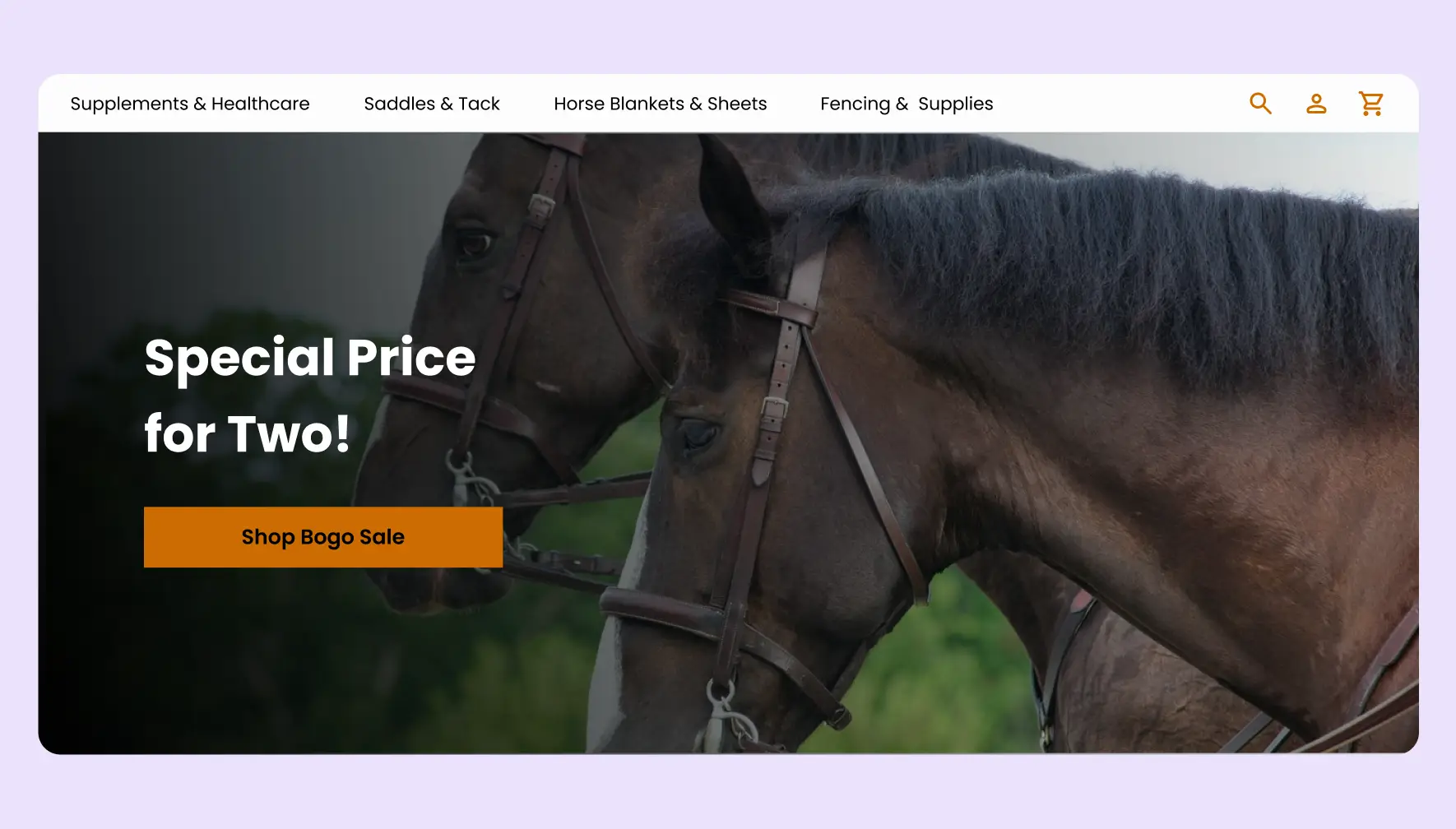 Scalable .NET Solutions for High-Performance Equestrian Website Development 4 Horse website design showcasing equestrian services booking and product marketplace