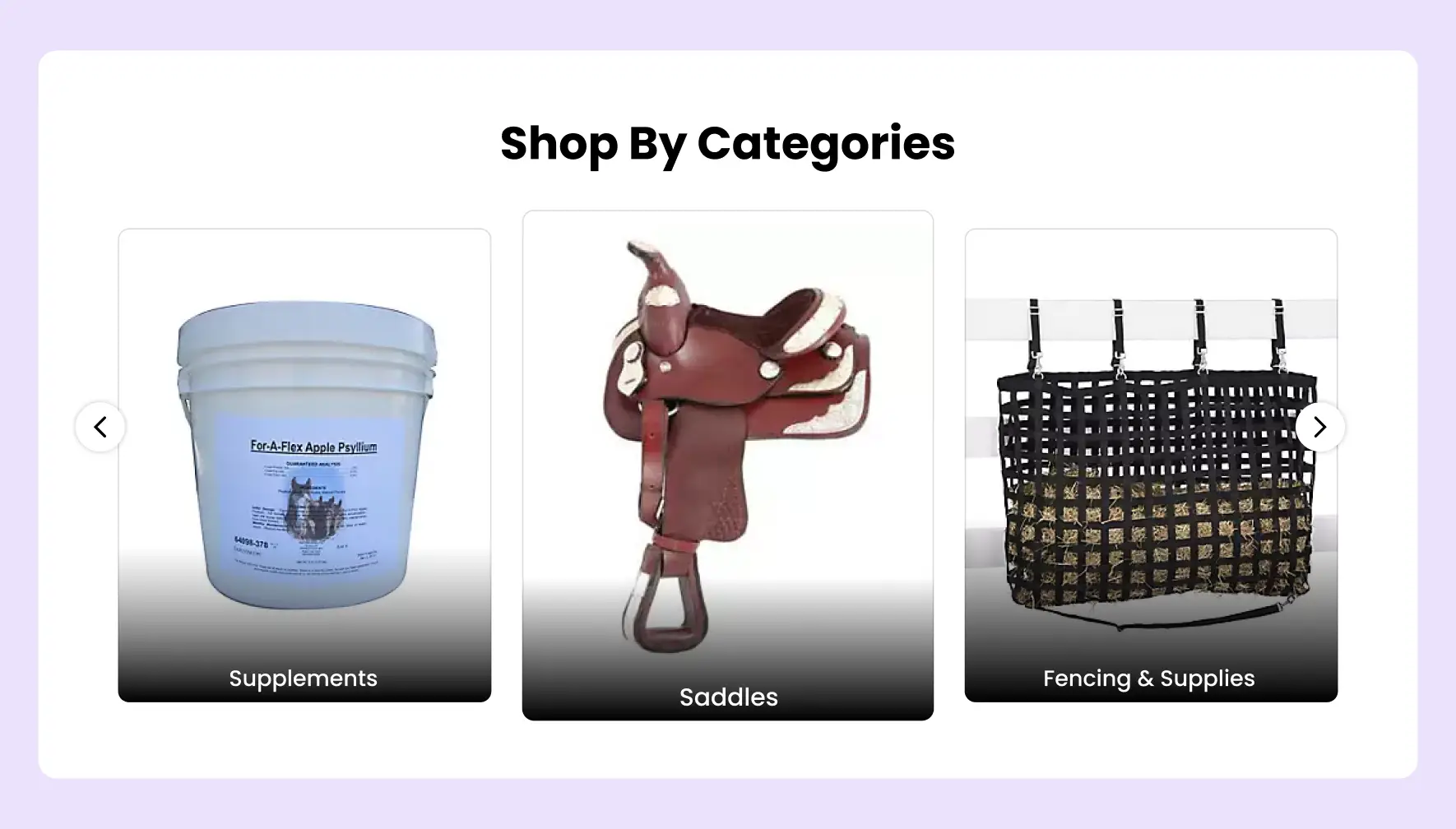 Equestrian category page design for horse equipment training and services