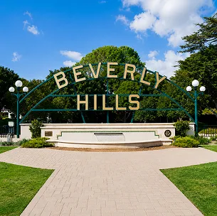 beverly hills website design services