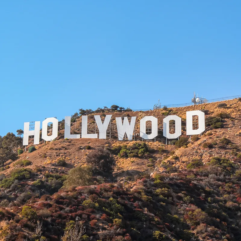 Los Angeles web design and development services for businesses
