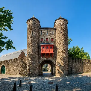 maastricht web design services