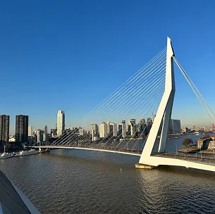 rotterdam web design services