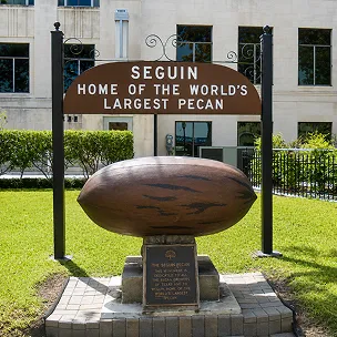 seguin website design services