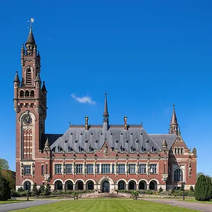 the hague web design services