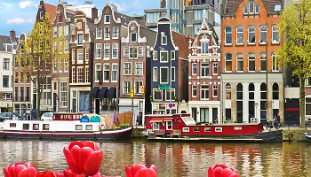 Web development services for Amsterdam businesses