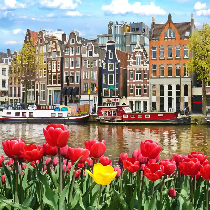 amsterdam web design and development services for businesses
