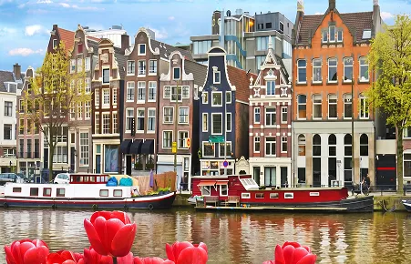 Web development services for Amsterdam businesses