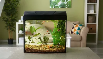 IND - Pet Supplies 36 Aquarium Industries pet products website by Keyideas
