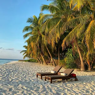 beach website design services