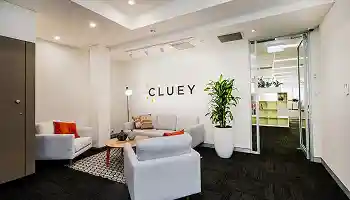 cluey learning education website design by keyideas