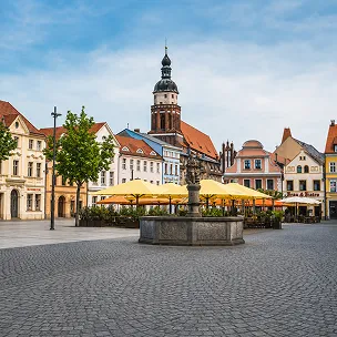 cottbus website design services