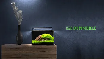 IND - Pet Supplies 32 Dennerle pet products website by Keyideas