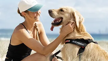 IND - Pet Supplies 35 EzyDog pet products website by Keyideas