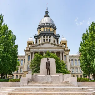 illinois website design services