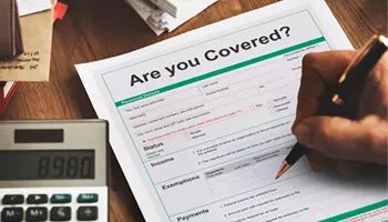 insurance web dev services