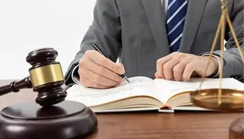 legal web dev services