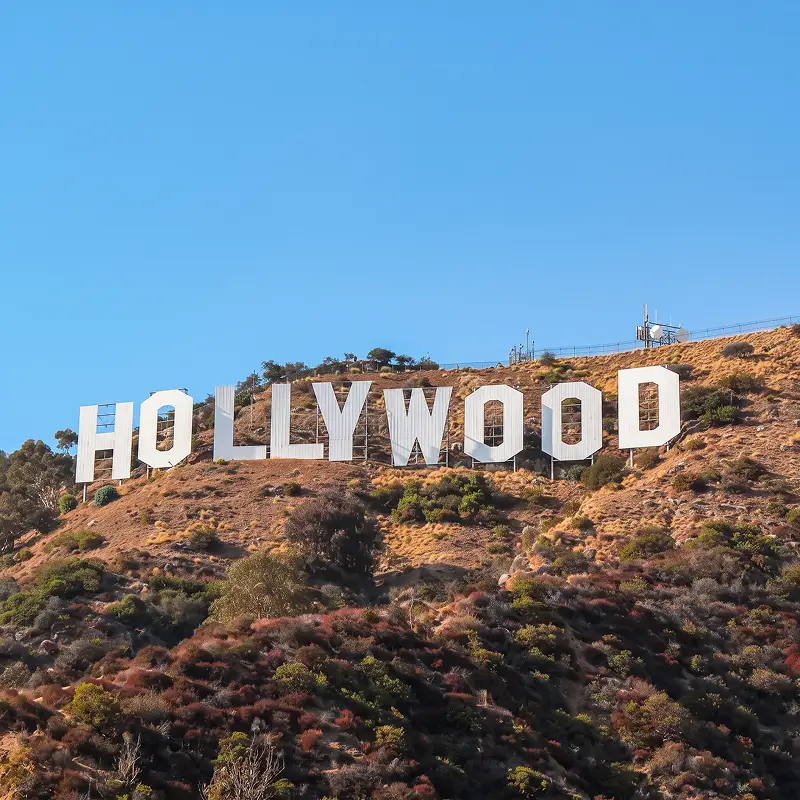 Los Angeles web design and development services for businesses