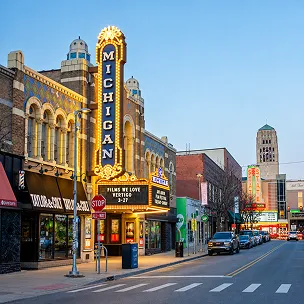 michigan website design services