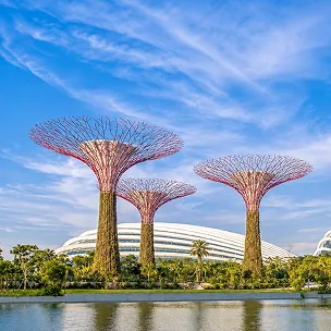 orchard road website design services