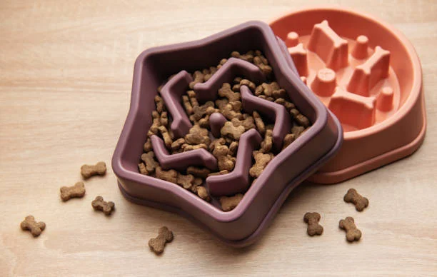 pet feeding product ecommerce website design services