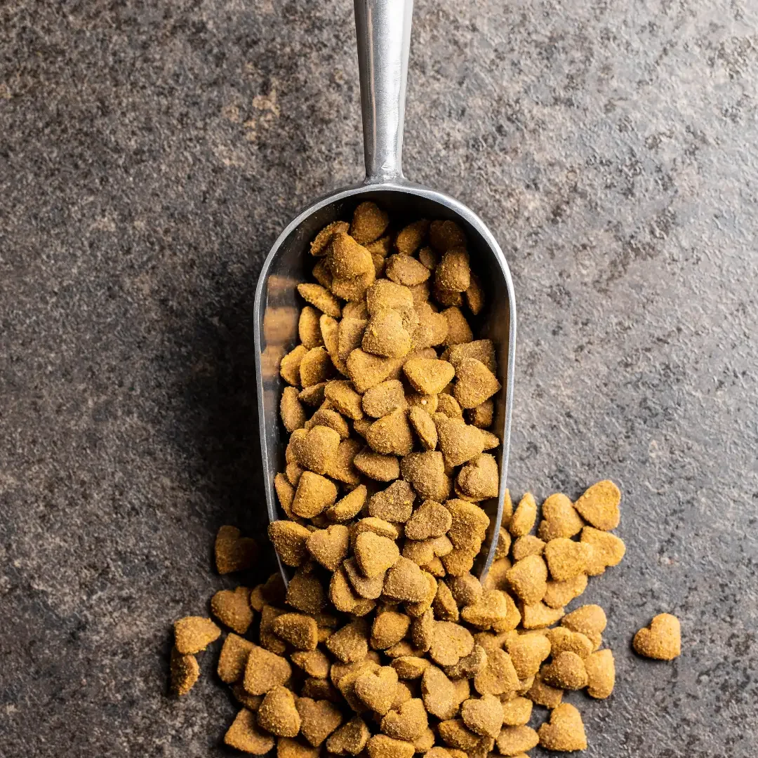 pet food ecommerce website design services