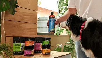 IND - Pet Supplies 27 Pet Honesty pet supplements website by Keyideas