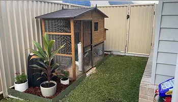 IND - Pet Supplies 33 SOMERZBY pet products website by Keyideas