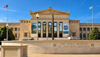 Field Museum website by Keyideas
