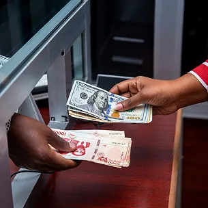 currency exchange website design services