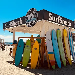 surfing website design services