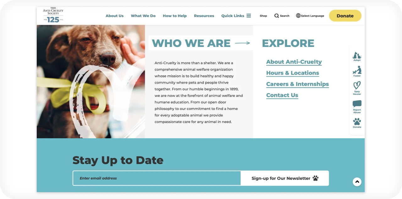 animal website design